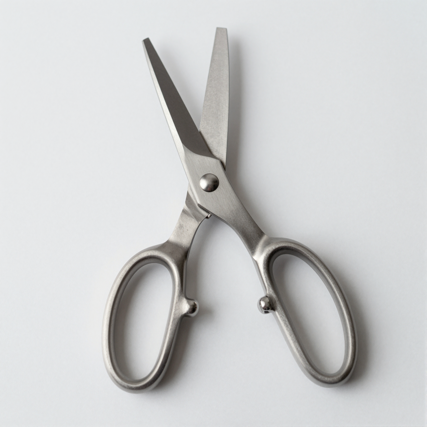 Stainless Kitchen Shears