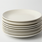 Stoneware Dinner Plates Set of 4